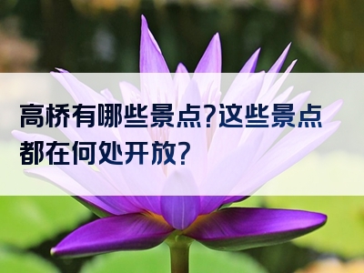 高桥有哪些景点？这些景点都在何处开放？