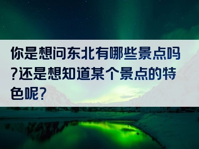 你是想问东北有哪些景点吗？还是想知道某个景点的特色呢？