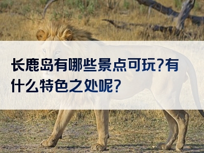 长鹿岛有哪些景点可玩？有什么特色之处呢？