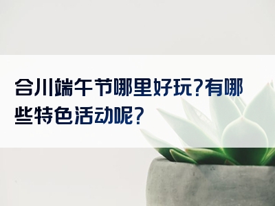 合川端午节哪里好玩？有哪些特色活动呢？