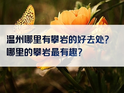 温州哪里有攀岩的好去处？哪里的攀岩最有趣？