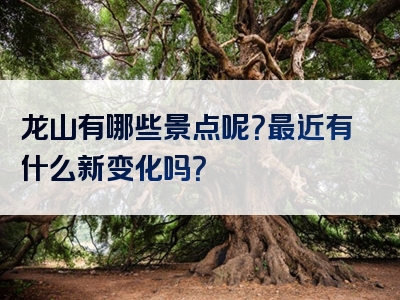 龙山有哪些景点呢？最近有什么新变化吗？