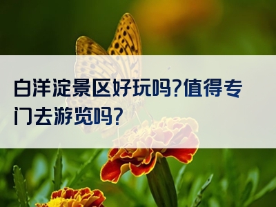 白洋淀景区好玩吗？值得专门去游览吗？