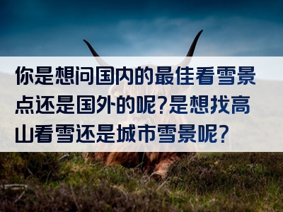 你是想问国内的最佳看雪景点还是国外的呢？是想找高山看雪还是城市雪景呢？