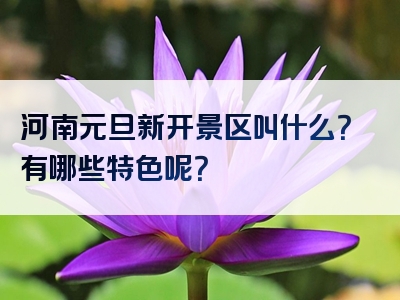 河南元旦新开景区叫什么？有哪些特色呢？