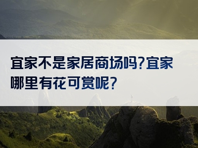 宜家不是家居商场吗？宜家哪里有花可赏呢？
