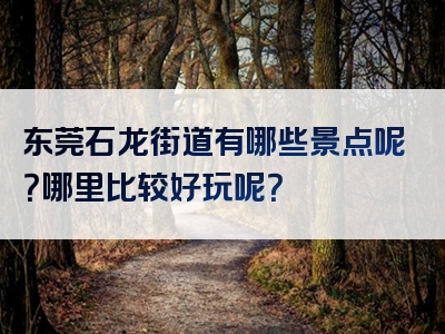 东莞石龙街道有哪些景点呢？哪里比较好玩呢？