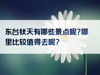 东台秋天有哪些景点呢？哪里比较值得去呢？
