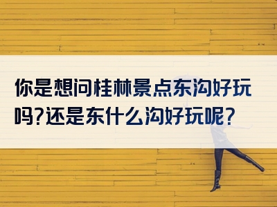 你是想问桂林景点东沟好玩吗？还是东什么沟好玩呢？