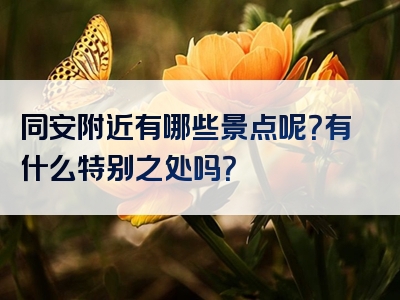 同安附近有哪些景点呢？有什么特别之处吗？