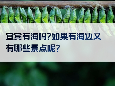 宜宾有海吗？如果有海边又有哪些景点呢？