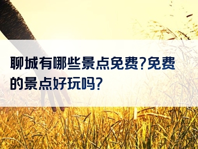 聊城有哪些景点免费？免费的景点好玩吗？