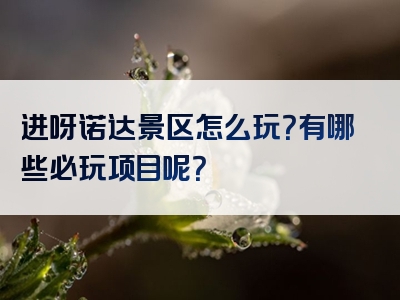 进呀诺达景区怎么玩？有哪些必玩项目呢？