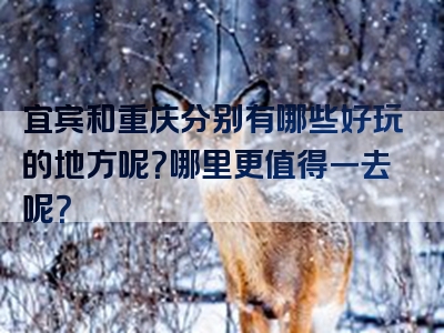 宜宾和重庆分别有哪些好玩的地方呢？哪里更值得一去呢？