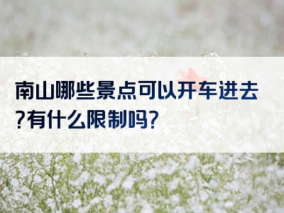 南山哪些景点可以开车进去？有什么限制吗？