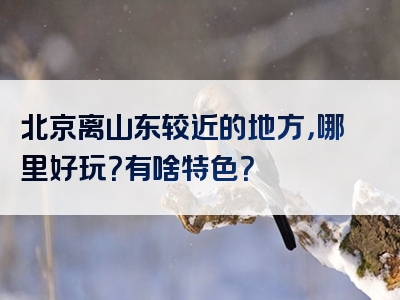 北京离山东较近的地方，哪里好玩？有啥特色？