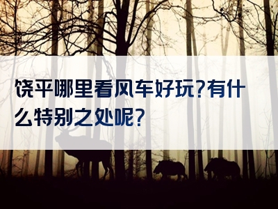 饶平哪里看风车好玩？有什么特别之处呢？