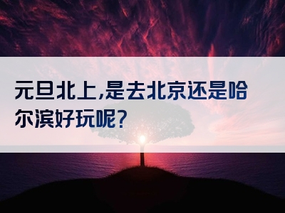 元旦北上，是去北京还是哈尔滨好玩呢？