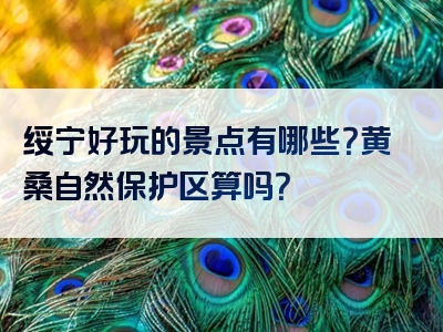 绥宁好玩的景点有哪些？黄桑自然保护区算吗？