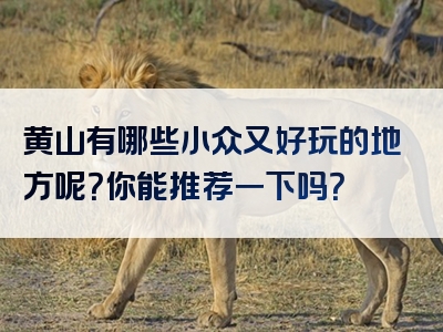 黄山有哪些小众又好玩的地方呢？你能推荐一下吗？