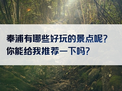 奉浦有哪些好玩的景点呢？你能给我推荐一下吗？