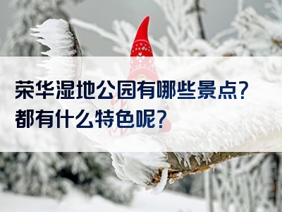 荣华湿地公园有哪些景点？都有什么特色呢？