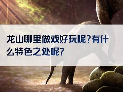 龙山哪里做戏好玩呢？有什么特色之处呢？