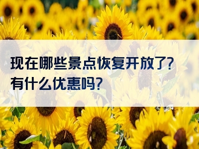 现在哪些景点恢复开放了？有什么优惠吗？