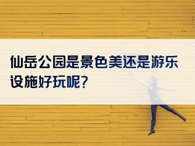 仙岳公园是景色美还是游乐设施好玩呢？