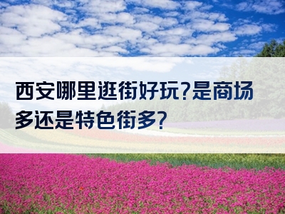 西安哪里逛街好玩？是商场多还是特色街多？