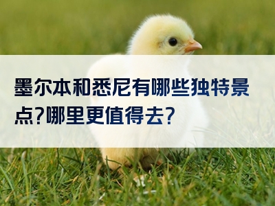 墨尔本和悉尼有哪些独特景点？哪里更值得去？