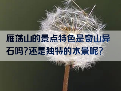 雁荡山的景点特色是奇山异石吗？还是独特的水景呢？