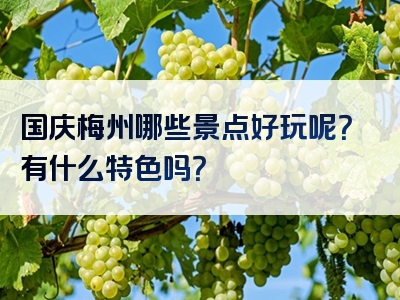 国庆梅州哪些景点好玩呢？有什么特色吗？