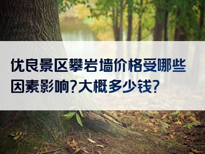 优良景区攀岩墙价格受哪些因素影响？大概多少钱？