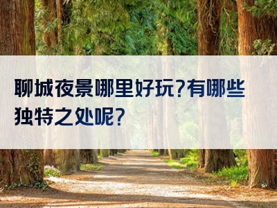 聊城夜景哪里好玩？有哪些独特之处呢？