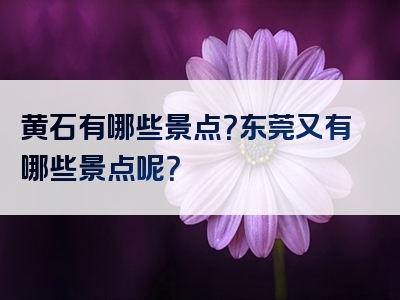黄石有哪些景点？东莞又有哪些景点呢？
