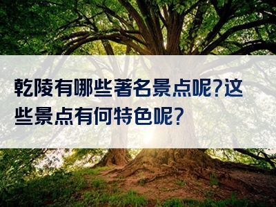乾陵有哪些著名景点呢？这些景点有何特色呢？