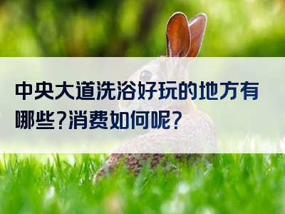 中央大道洗浴好玩的地方有哪些？消费如何呢？