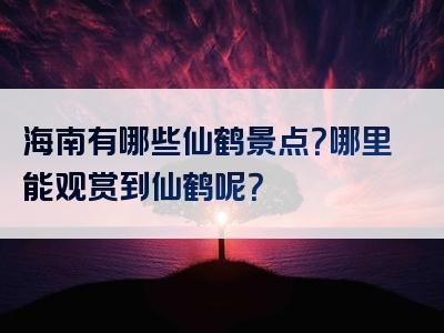 海南有哪些仙鹤景点？哪里能观赏到仙鹤呢？