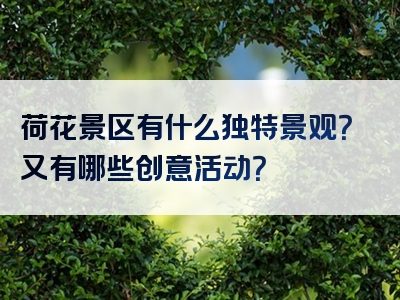 荷花景区有什么独特景观？又有哪些创意活动？