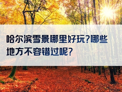 哈尔滨雪景哪里好玩？哪些地方不容错过呢？