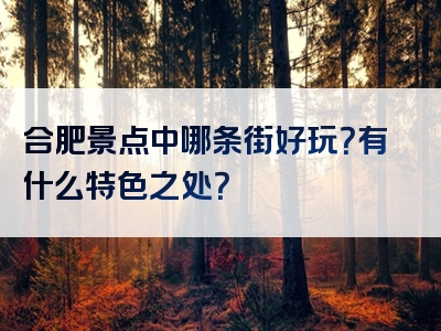 合肥景点中哪条街好玩？有什么特色之处？
