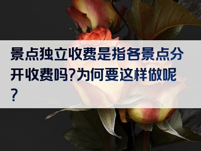 景点独立收费是指各景点分开收费吗？为何要这样做呢？