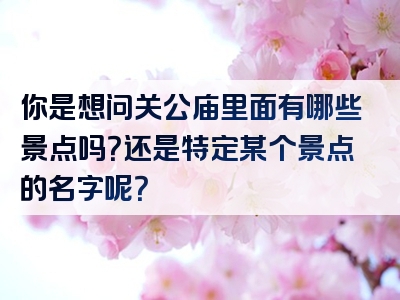 你是想问关公庙里面有哪些景点吗？还是特定某个景点的名字呢？