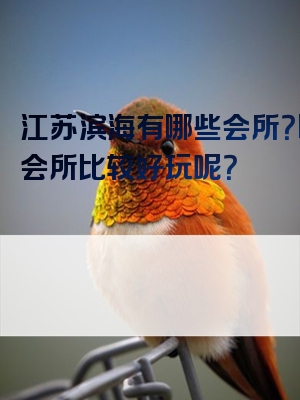 江苏滨海有哪些会所？哪些会所比较好玩呢？