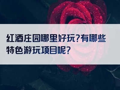 红酒庄园哪里好玩？有哪些特色游玩项目呢？