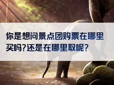 你是想问景点团购票在哪里买吗？还是在哪里取呢？