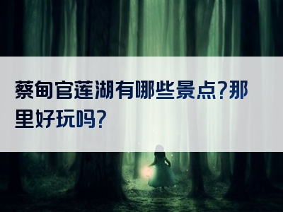 蔡甸官莲湖有哪些景点？那里好玩吗？