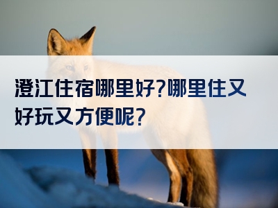 澄江住宿哪里好？哪里住又好玩又方便呢？