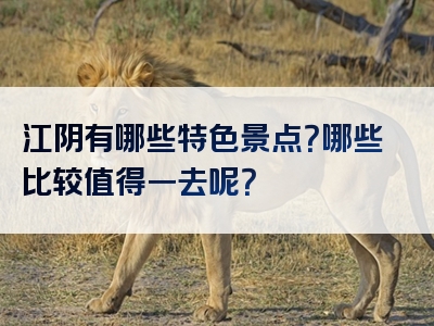 江阴有哪些特色景点？哪些比较值得一去呢？